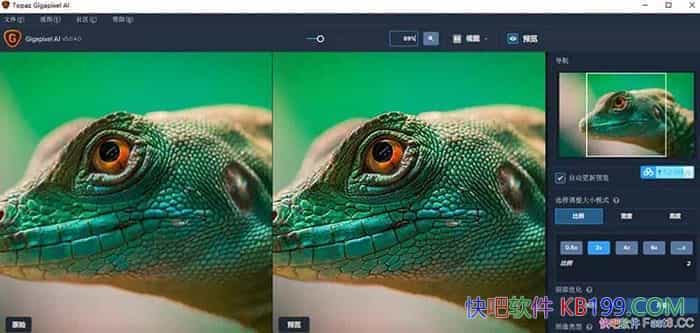 Topaz Photo AI v1.2.5便携版/一款专业的人工智能图片降噪软件